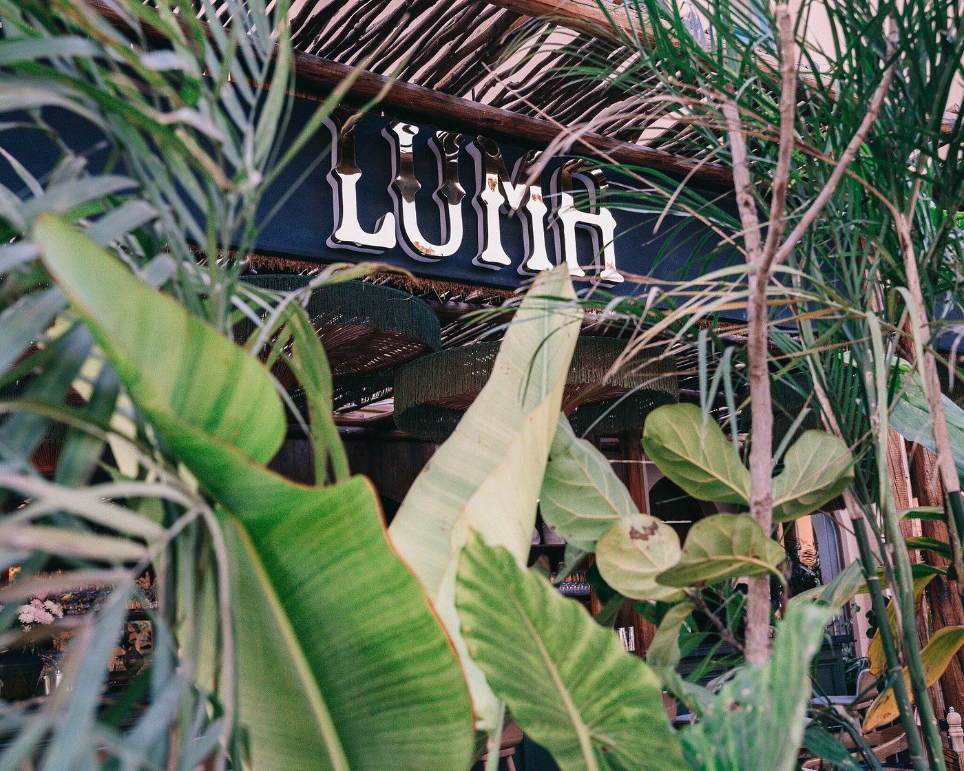 luma restaurant