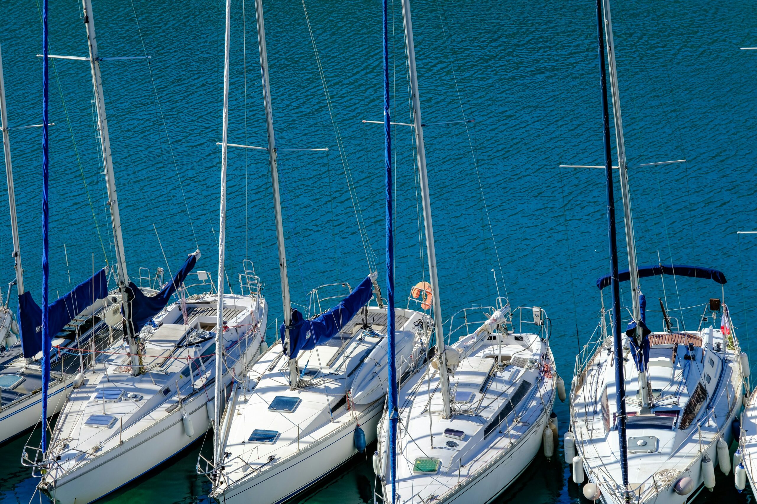 sarah sheedy 6vnUGbAQSLU unsplash scaled