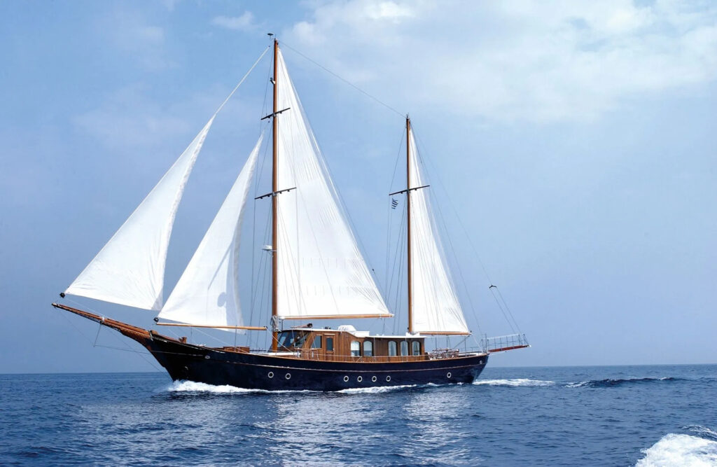 LIANA H 1 01 01